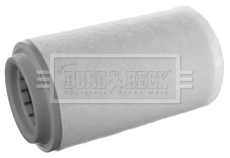 Air Filter (BFA2471)