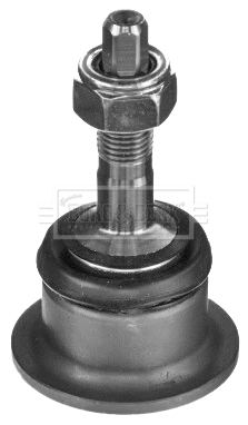 Ball Joint (BBJ5695)