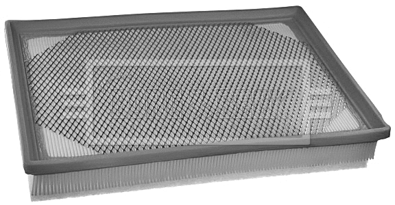 Air Filter (BFA2397)