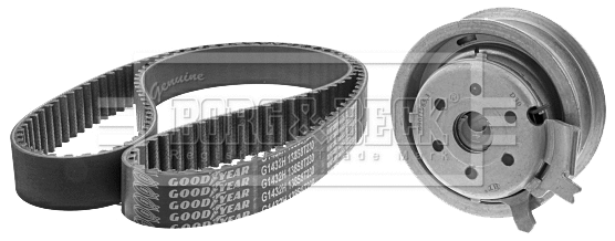 Timing Belt Kit (BTK1002)