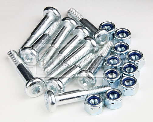 Fastening Bolt, control arm (BSK6848)