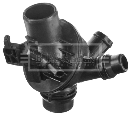Thermostat, coolant (BBT436)