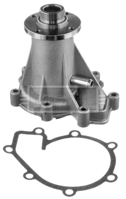 Water Pump, engine cooling (BWP1669)