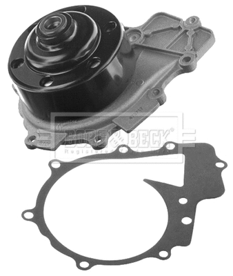 Water Pump, engine cooling (BWP2408)