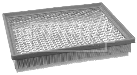 Air Filter (BFA2048)