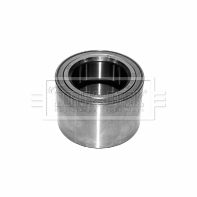 Wheel Bearing Kit (BWK769)