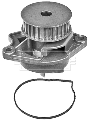 Water Pump, engine cooling (BWP1760)
