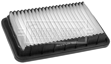 Air Filter (BFA2384)