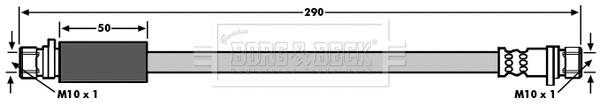 Brake Hose (BBH6696)