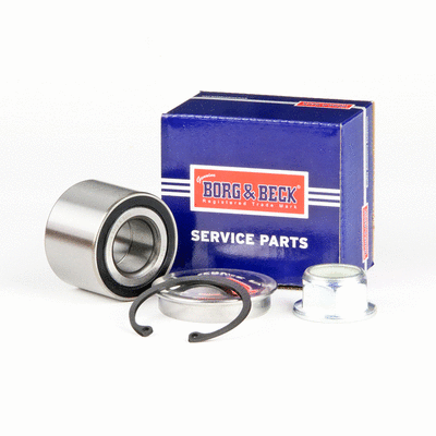 Wheel Bearing Kit (BWK795)