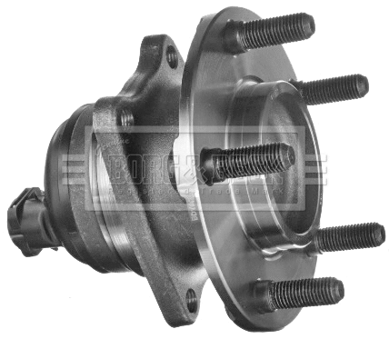 Wheel Bearing Kit (BWK1467)