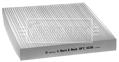 Filter, cabin air (BFC1036)