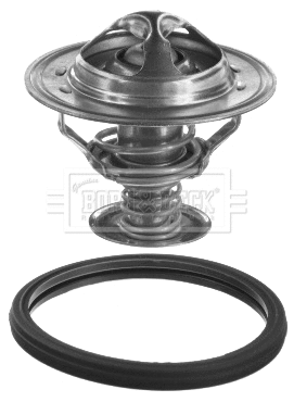 Thermostat, coolant (BBT384)