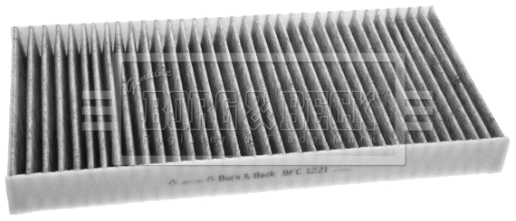 Filter, cabin air (BFC1221)