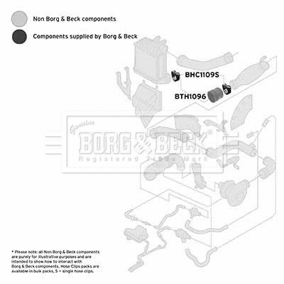 Charge Air Hose (BTH1096)
