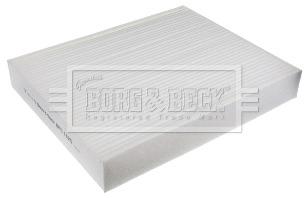 Filter, cabin air (BFC1325)