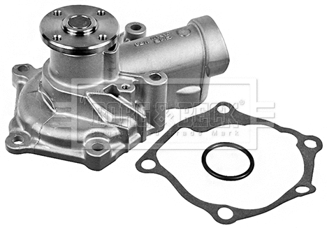 Water Pump, engine cooling (BWP2099)