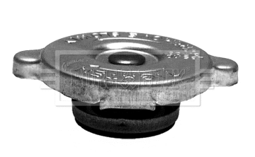 Cap, radiator (BRC90)