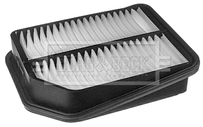 Air Filter (BFA2338)