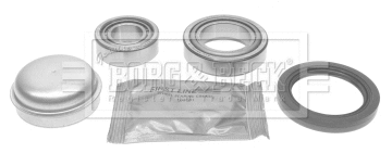 Wheel Bearing Kit (BWK1126)