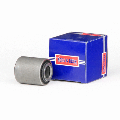 Mounting, control/trailing arm