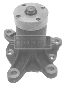 Water Pump, engine cooling (BWP1234)