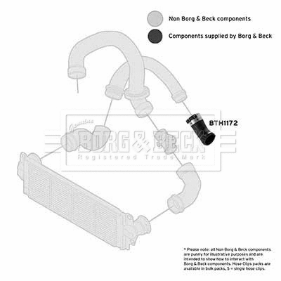 Charge Air Hose (BTH1172)