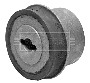 Mounting, control/trailing arm (BSK6232)