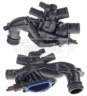 Thermostat, coolant (BBT486)