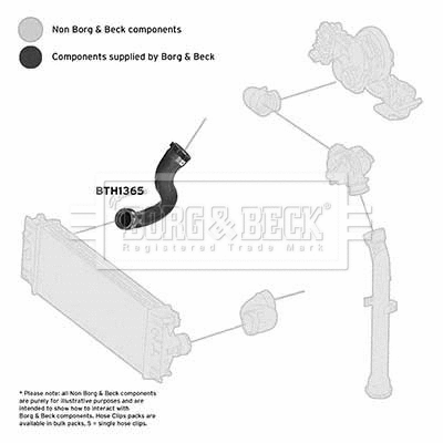 Charge Air Hose (BTH1365)