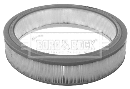 Air Filter (BFA2344)