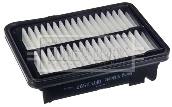 Air Filter (BFA2597)
