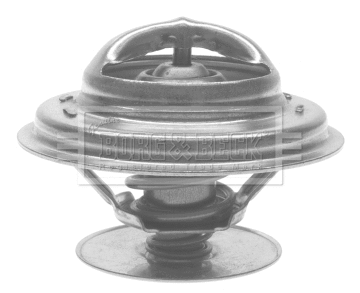 Thermostat, coolant (BTS173.87)