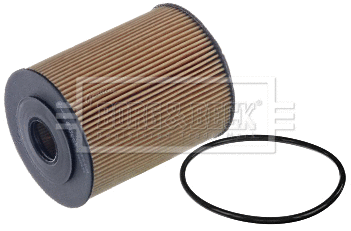 Oil Filter (BFO4134)