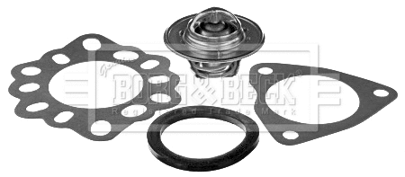 Thermostat, coolant (BBT363)