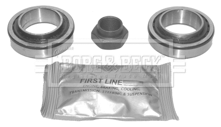 Wheel Bearing Kit (BWK110)