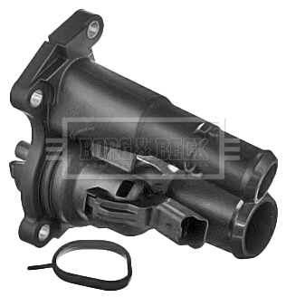 Thermostat, coolant (BBT270)