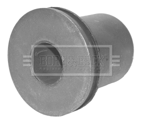 Mounting, control/trailing arm (BSK6533)