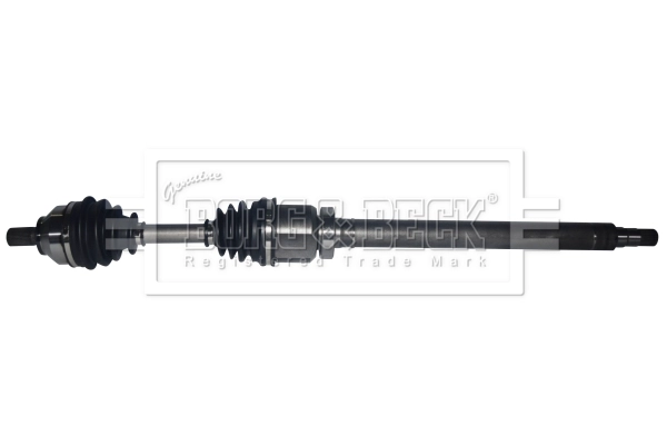 Drive Shaft (BDS1349)