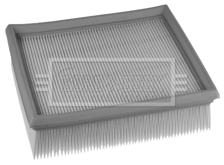 Air Filter (BFA2487)