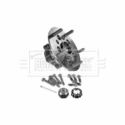 Wheel Bearing Kit (BWK1469)