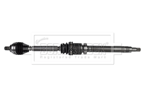 Drive Shaft (BDS1099)