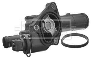 Thermostat, coolant (BBT211)