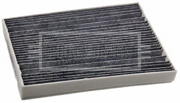 Filter, cabin air (BFC1286)