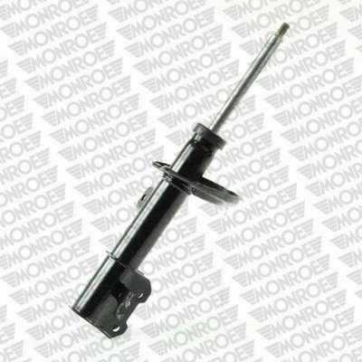 Suspension Strut (16476)
