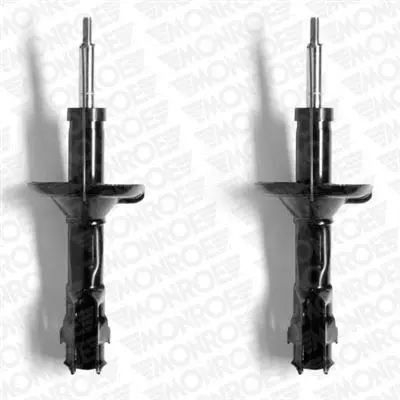 Suspension Strut (E4513)
