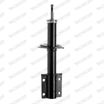 Suspension Strut (V4410)