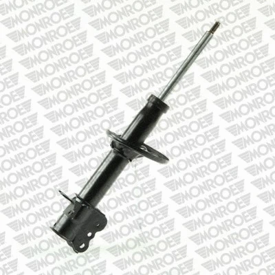 Suspension Strut (G16762)