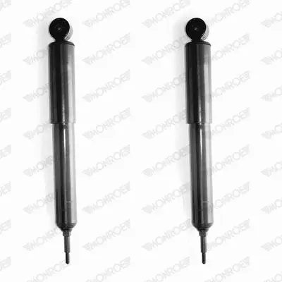Shock Absorber (D8645)