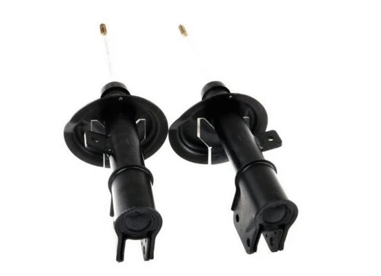 Suspension Strut (E4755)